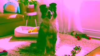 Walmart Step up your spring cleaning game with Walmart grocery delivery Ad Commercial Brand Imagery Photoshoot 0