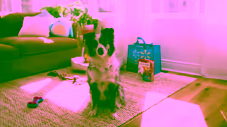 Walmart Step up your spring cleaning game with Walmart grocery delivery Ad Commercial Brand Imagery Photoshoot 2