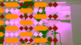 Algoma University My Mission Ad Commercial Brand Imagery Photoshoot 1