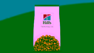 Hill's Hills Pet Nutrition Science Did That Ad Commercial Brand Imagery Photoshoot 2