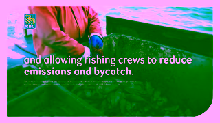 RBC Royal Bank RBC is helping our client Katchi reduce the environmental impact of commercial fishing Ad Commercial Brand Imagery Photoshoot 2