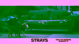 Universal Pictures Strays August 17 Ad Commercial Brand Imagery Photoshoot 1