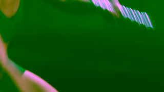 CALIA Fitness Theres Beauty in the Burn RopesDrums Ad Commercial Brand Imagery Photoshoot 1