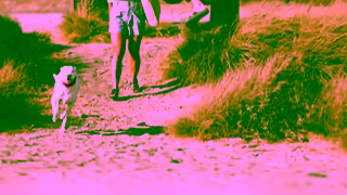 Halo Collar TV Your Backyard Now Everywhere Ad Commercial Brand Imagery Photoshoot 2