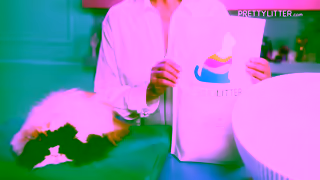 PrettyLitter Martha Takes Kitty Care Seriously PrettyLitter Ad Commercial Brand Imagery Photoshoot 1