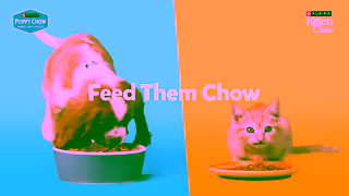 Purina Nourish the now Ad Commercial Brand Imagery Photoshoot 0