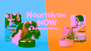 Purina Nourish the now Ad Commercial Brand Imagery Photoshoot 2