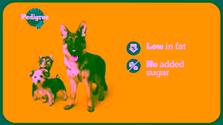 Pedigree Pedigree DENTASTIX Treats Support Oral Health with DENTASTIX Ad Commercial Brand Imagery Photoshoot 1