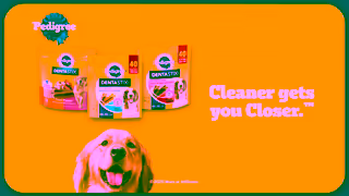 Pedigree Pedigree DENTASTIX Treats Support Oral Health with DENTASTIX Ad Commercial Brand Imagery Photoshoot 2