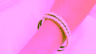 ISLAND by Koa Nani Paradise Found Island by Koa Nani Ad Commercial Brand Imagery Photoshoot 0