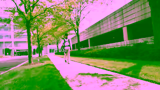 EGO Tools 24 18803 Commercial Range Launch Rollout 30 Aus Ad Commercial Brand Imagery Photoshoot 2