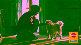 Pedigree Pedigree Dentastix Ad Commercial Brand Imagery Photoshoot 2