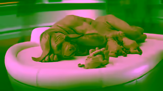 Visit Melbourne Victoria Every Bit Different Ad Commercial Brand Imagery Photoshoot 2