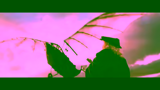 Amazon Business Leos Inventions Ad Commercial Brand Imagery Photoshoot 2