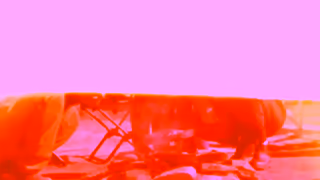 KUHL For the KHL Dad Who Raised the Bar Ad Commercial Brand Imagery Photoshoot 2