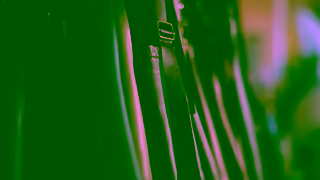 KARMINE Leather About Karmine Leather Ad Commercial Brand Imagery Photoshoot 2