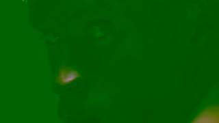 Calvin Klein CK SP25 BB HERO 15 16x9 LOGO High Res 1080 Ad Commercial Brand Imagery Photoshoot 0