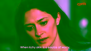 Zoetis CAEN Itchy Dog Ad Commercial Brand Imagery Photoshoot 1