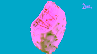 Blue Bunny iScream Mini in size Mighty in crunch Ad Commercial Brand Imagery Photoshoot 0