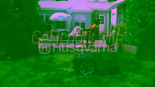 Husqvarna Get it right 20 sec OLV dog 16x9 Ad Commercial Brand Imagery Photoshoot 2