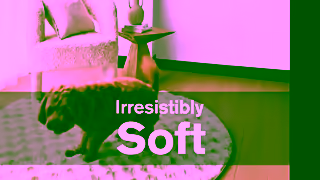 FlooringXtra This Spring Summer Free Rug With Hard Flooring 2025 Ad Commercial Brand Imagery Photoshoot 0