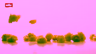 Muller Mller Bliss It Must Be Bliss Salted Caramel 20 Ad Commercial Brand Imagery Photoshoot 0