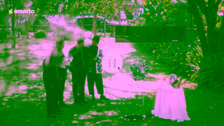 ENVATO Envato For the creatively obsessed Pet Funeral remix Ad Commercial Brand Imagery Photoshoot 1