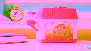 Moose Toys LITTLE LIVE PETS I MAMA SURPRISE MINIS TVC UPDATED END FRAME I 30 Ad Commercial Brand Imagery Photoshoot 1