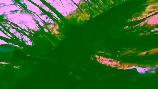 Monster Energy Troy Brosnan  Monster Energy Ad Commercial Brand Imagery Photoshoot 0