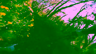 Monster Energy Troy Brosnan  Monster Energy Ad Commercial Brand Imagery Photoshoot 1