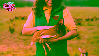 The Happy Egg Company Happy hens lay tasty eggs Ad Commercial Brand Imagery Photoshoot 0