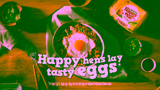 The Happy Egg Company Happy hens lay tasty eggs Ad Commercial Brand Imagery Photoshoot 2