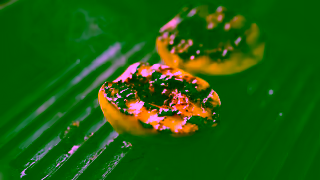 Napolina Napolina Recipe Hub 2025 30s Ad Commercial Brand Imagery Photoshoot 2