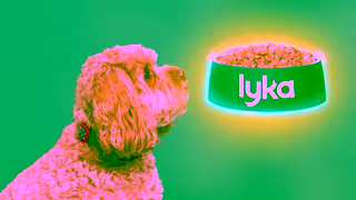 Lyka Pet Food Cindy and Chiko 16x9 Ad Commercial Brand Imagery Photoshoot 1
