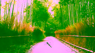 Travel Center UK Japan tour in 15 seconds Best places to visit in Japan Ad Commercial Brand Imagery Photoshoot 1