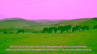 Arla Cravendale Ad Commercial Brand Imagery Photoshoot 0