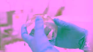 University Of Melbourne Advancing biomedical sciences and research for a changing world Georgia Ad Commercial Brand Imagery Photoshoot 0