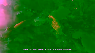 Dell Empowering teams with agile IT Ad Commercial Brand Imagery Photoshoot 2