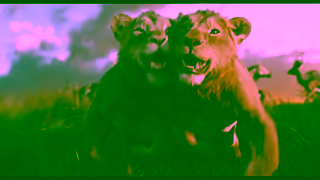 Disney Mufasa The Lion King In Theaters Now Ad Commercial Brand Imagery Photoshoot 2