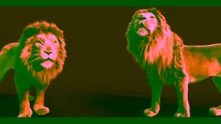 Mutti Pomodoro Mutti Deceptively simple Ad Commercial Brand Imagery Photoshoot 2