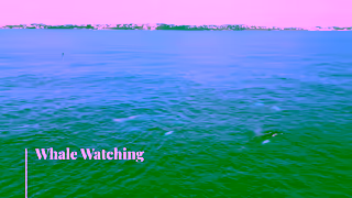 Visit Bermuda Winter Experiences in 2025 Go To Bermuda Ad Commercial Brand Imagery Photoshoot 2