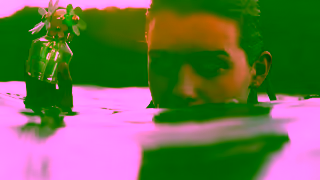 Marc Jacobs DAISY WILD MARC JACOBS Ad Commercial Brand Imagery Photoshoot 1