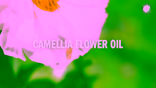 Herbal Essences New Herbal Essences Sulfate Free with Pure Plant Essences Ad Commercial Brand Imagery Photoshoot 1