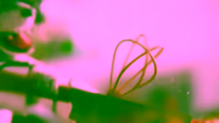 GoodFood 07 GoodFood CEP3 TooFresh 15E 16x9 web Ad Commercial Brand Imagery Photoshoot 1