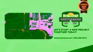 Consumer Choice Award Wintermere Sod Growers Consumer Choice Award Ad Commercial Brand Imagery Photoshoot 2