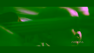 Niuriss Niuriss Ad Commercial Brand Imagery Photoshoot 0