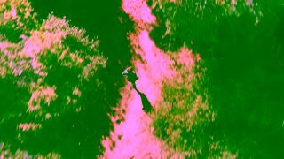 RYZE Superfoods Pour Yourself a Better Cup of Coffee Ad Commercial Brand Imagery Photoshoot 1