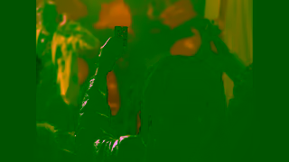 Cash App 1 of 1 A film by Cash App ft Shaboozey Ad Commercial Brand Imagery Photoshoot 2