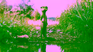 Geico Video Ad Ad Commercial Brand Imagery Photoshoot 1