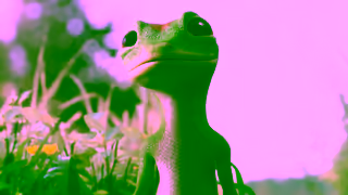 Geico Video Ad Ad Commercial Brand Imagery Photoshoot 2